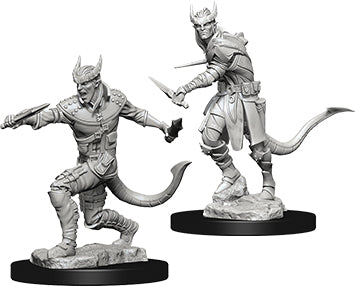 Dungeons & Dragons Nolzur`s Marvelous Unpainted Miniatures: Tiefling Male Rogue W5
